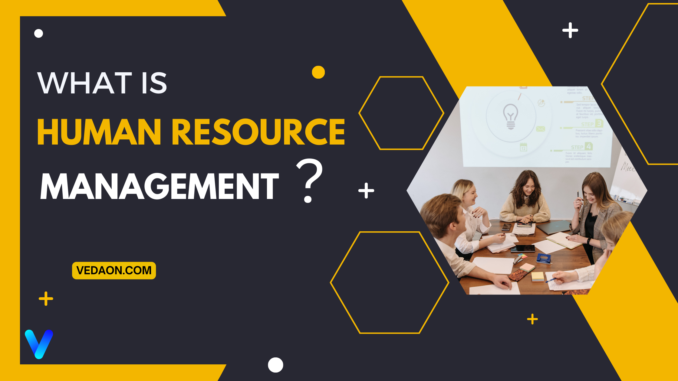 What Is Human Resource Management (HRM)? - Vedaon